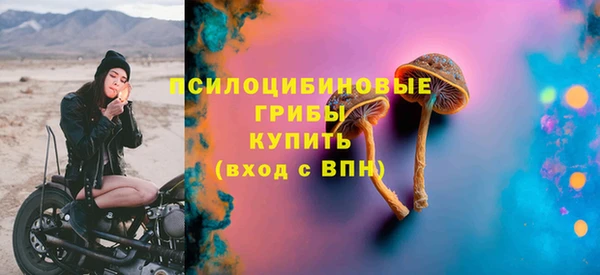 индика Алексин