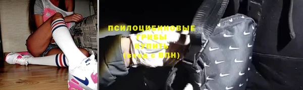 индика Алексин