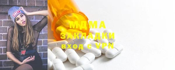 индика Алексин