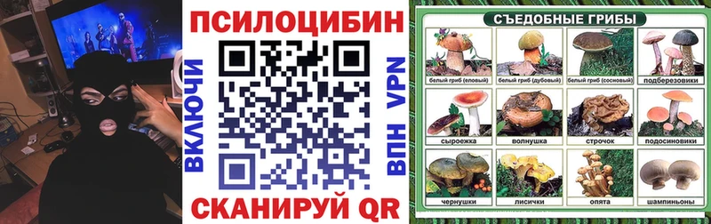 Псилоцибиновые грибы Magic Shrooms  Артём 